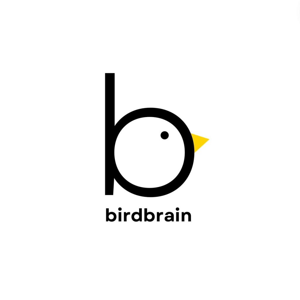 We are the&nbsp;birdbrains