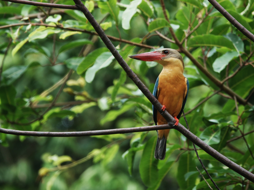 Towards A More Ethical 2025 in Wildlife&nbsp;Photography